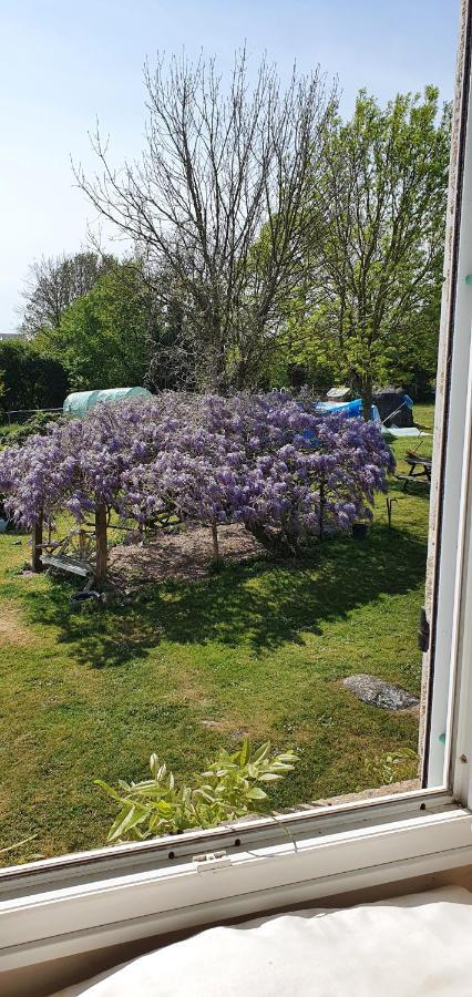 Chanteloup  Wisteria House B&B 외부 사진
