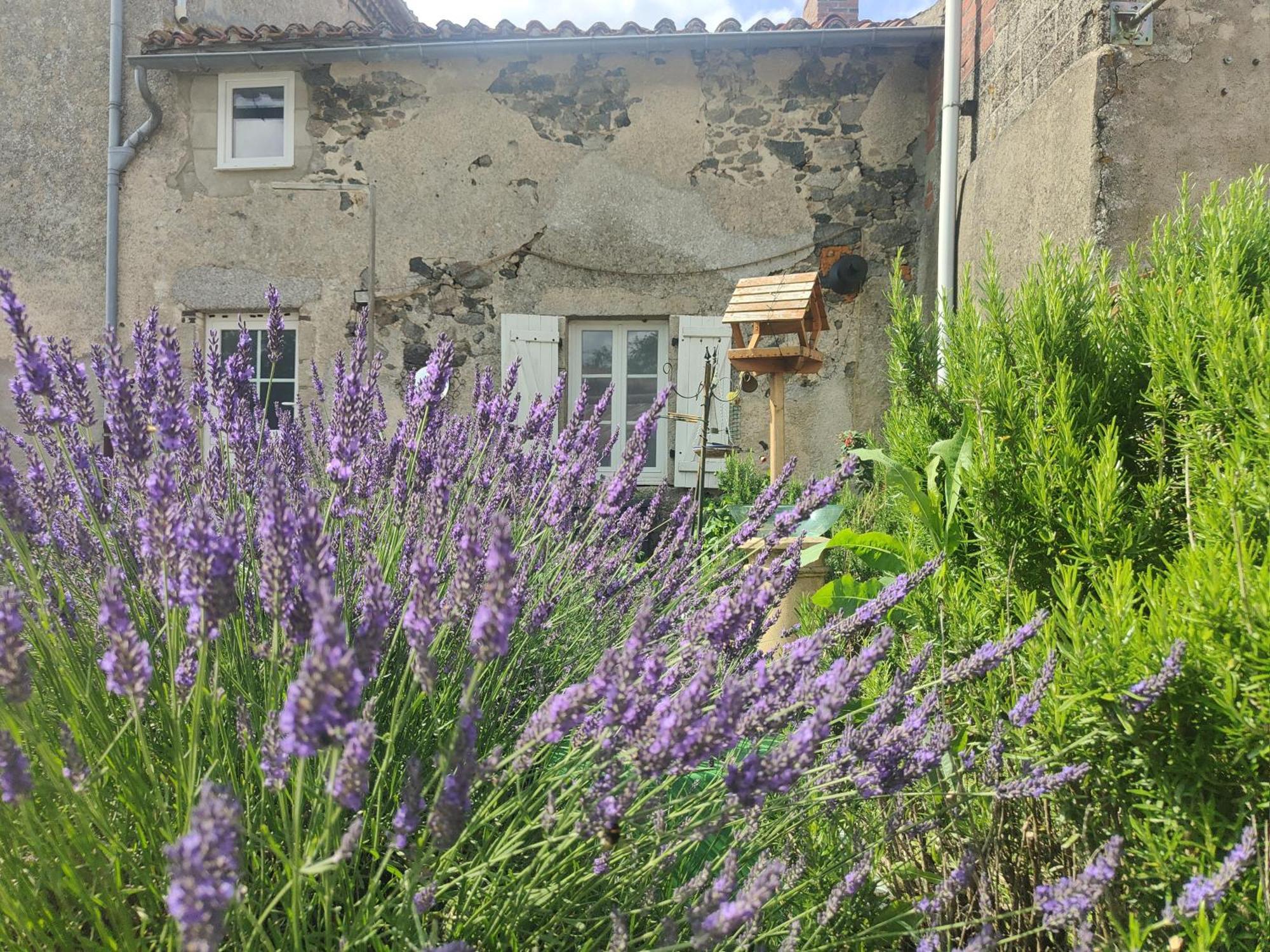 Chanteloup  Wisteria House B&B 외부 사진